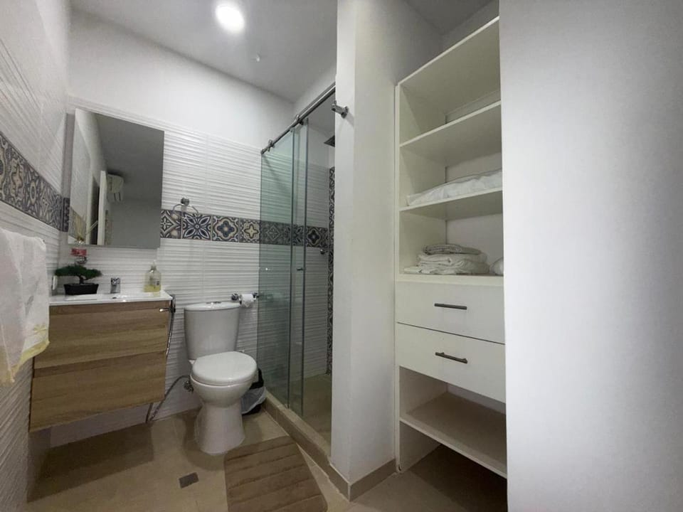 Shower, Toilet, Bathroom, towels