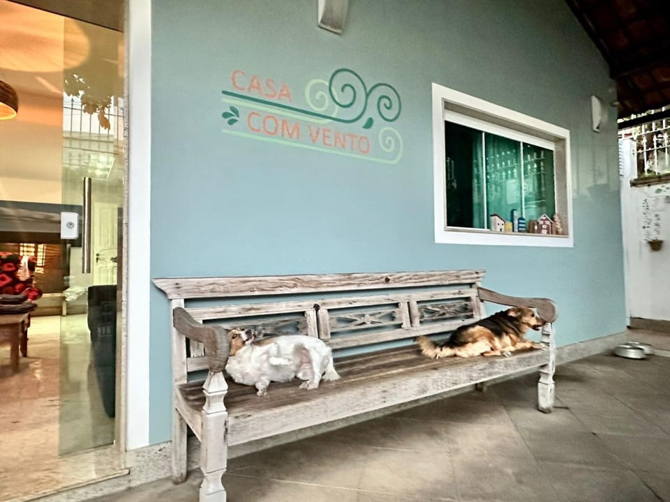 Patio, Activities, Place of worship, Garden, Decorative detail, Animals, Pets, Street view, furniture, laundry