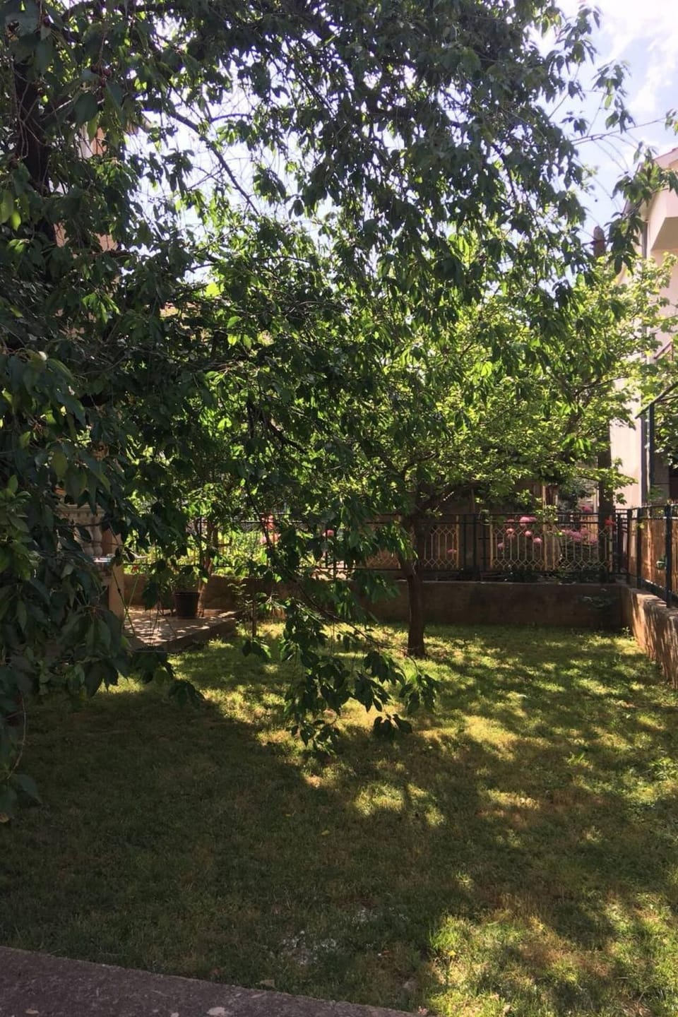 Location, children, Family