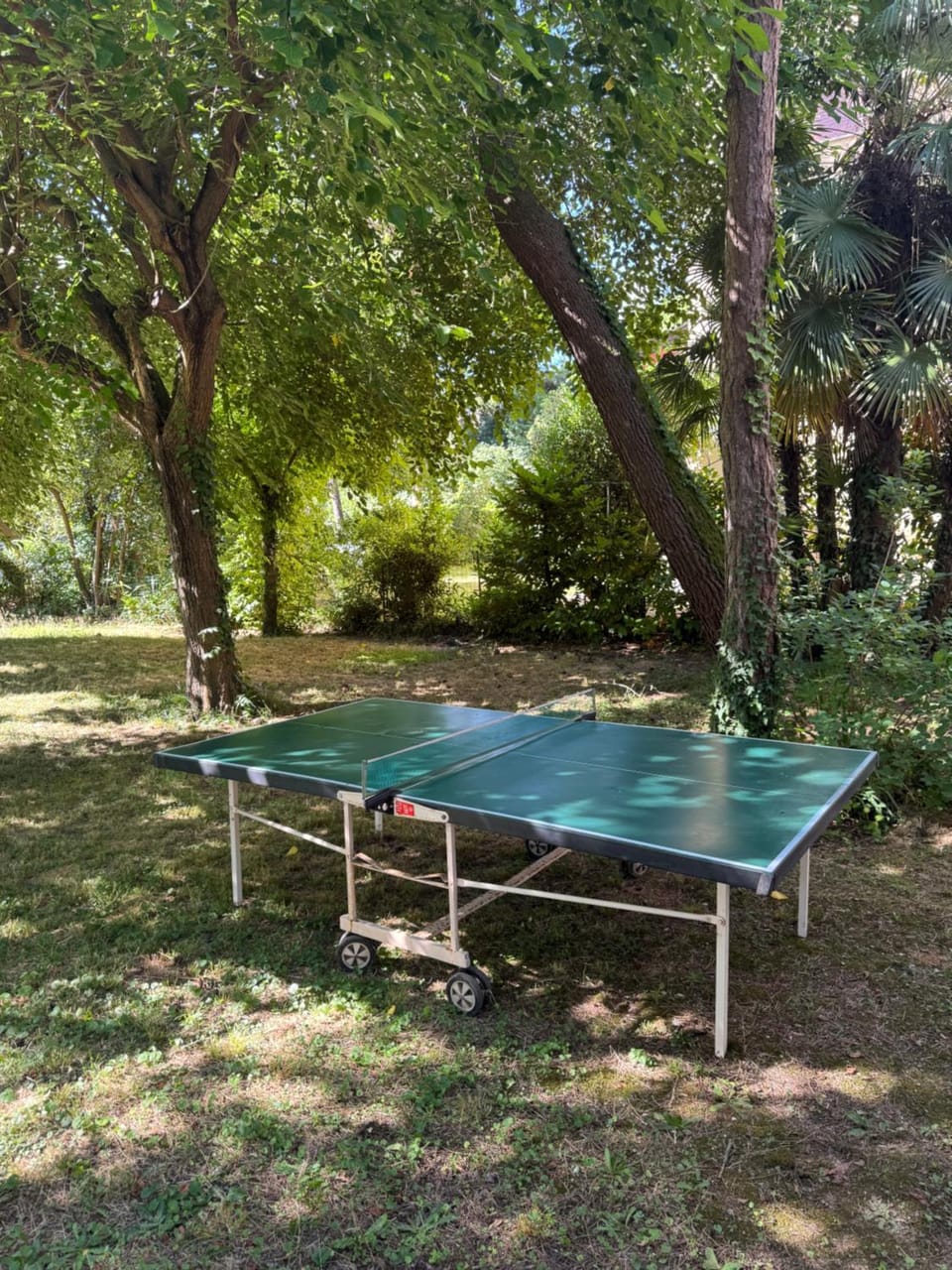 Garden, Table tennis