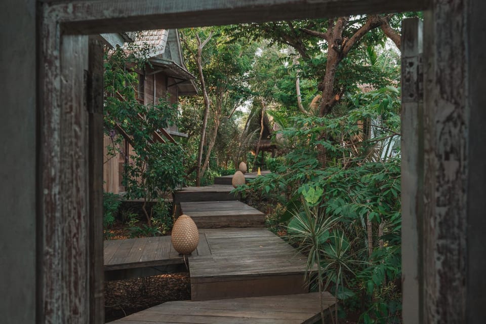 Garden view