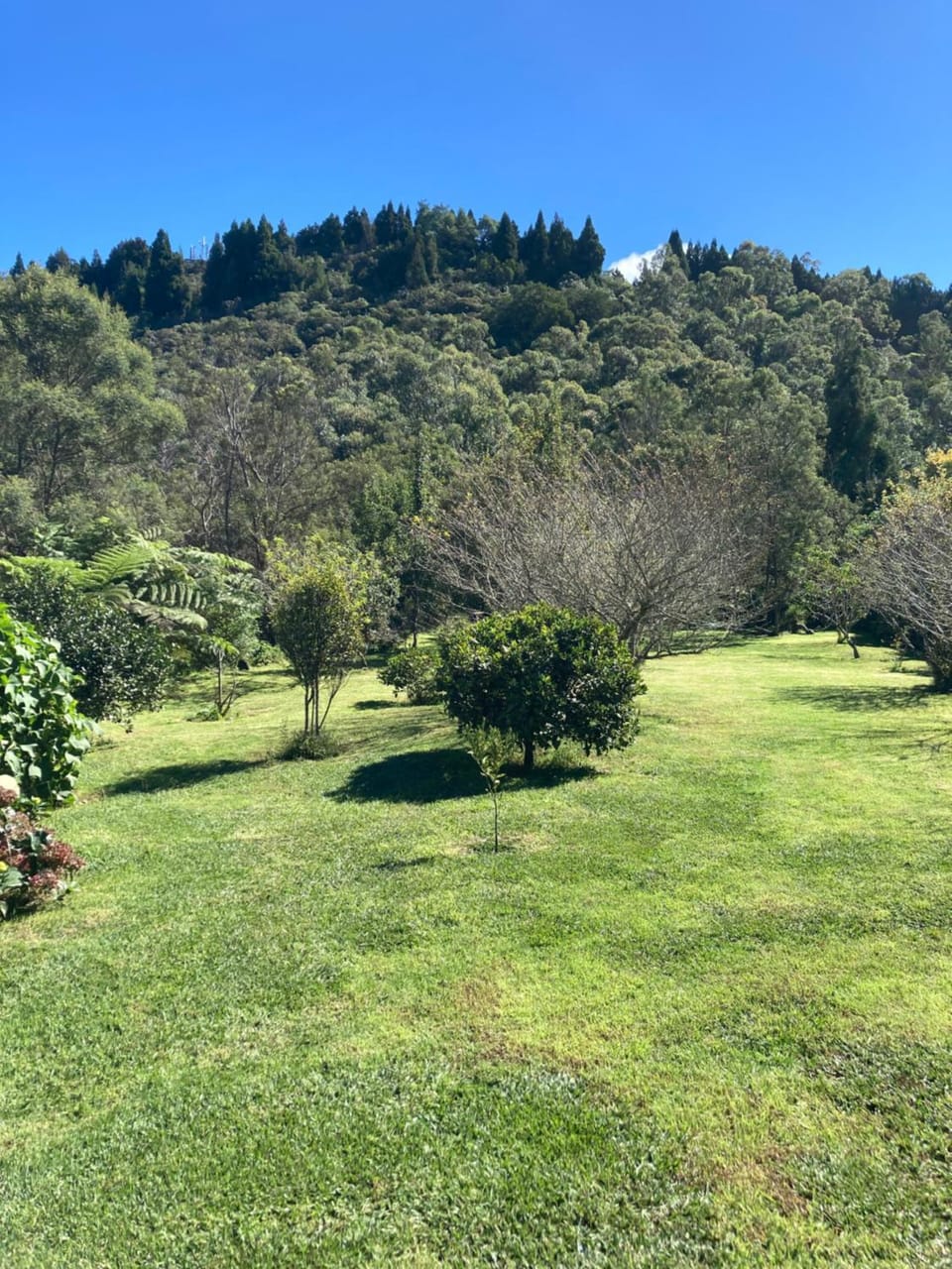 Spring, Day, Garden view, Mountain view