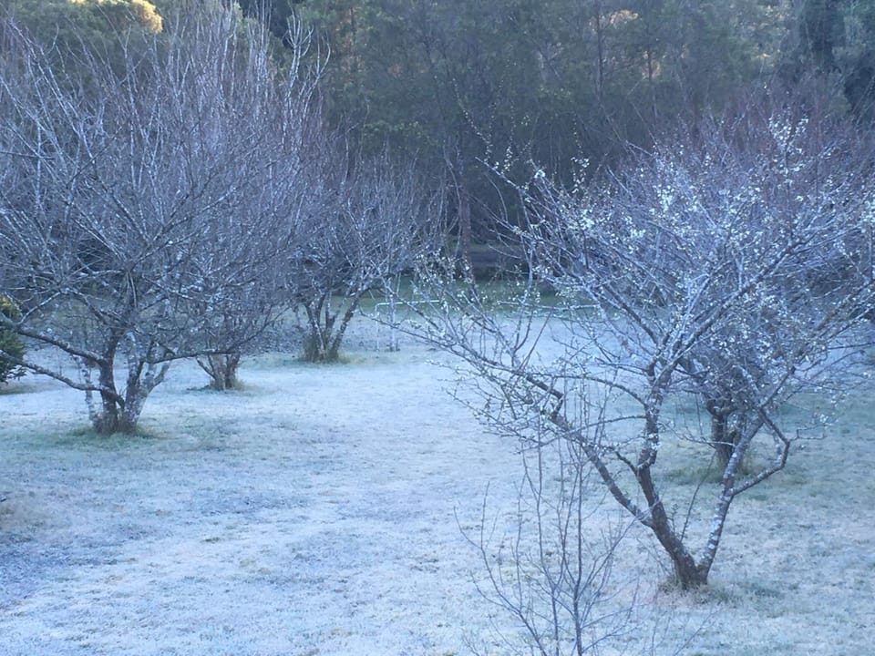 Day, Natural landscape, Winter