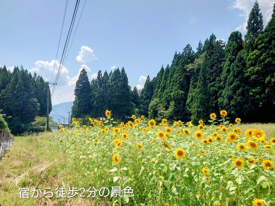 恐竜博物館まで車10分バーベキュー機材無料貸出勝山ファミリーログハウス今日のおうち House in Ishikawa Prefecture