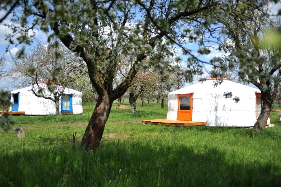 Idyllic Yurt with Organic Fruit Garden near Cesky Brod, Czech Republic House in Czechia