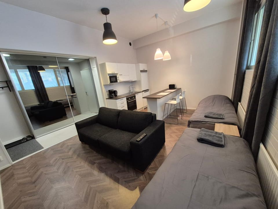 Laadukas asunto ydinkeskustasta omalla autopaikalla Apartment in Finland