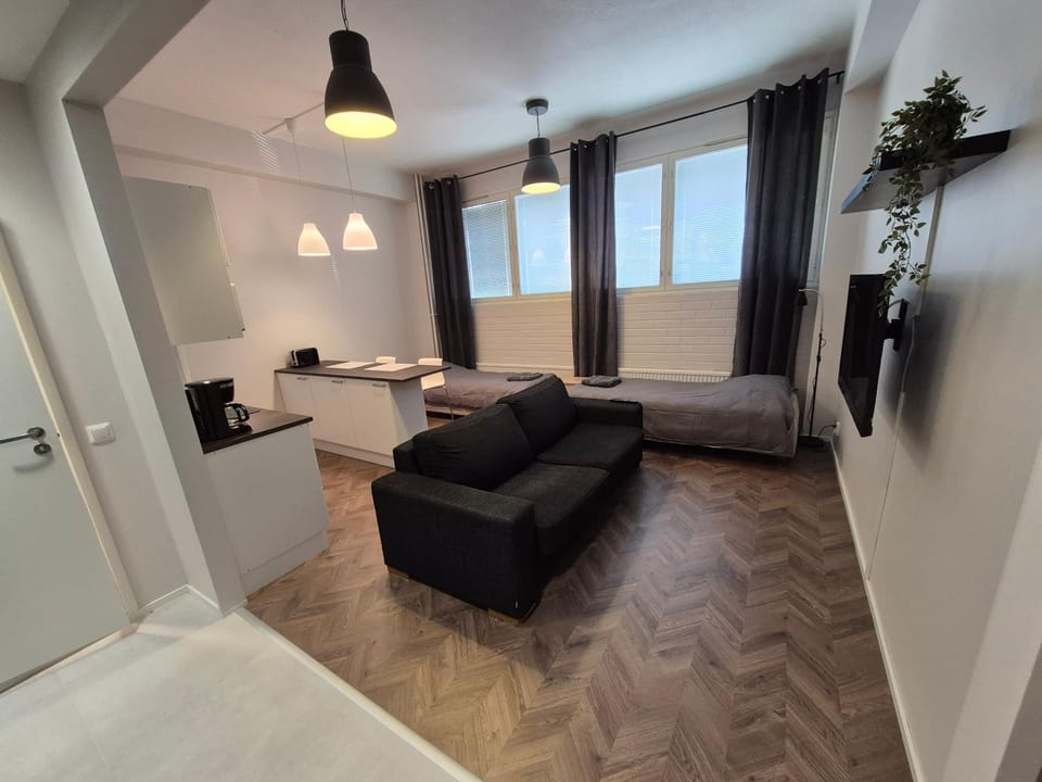 Laadukas asunto ydinkeskustasta omalla autopaikalla Apartment in Finland