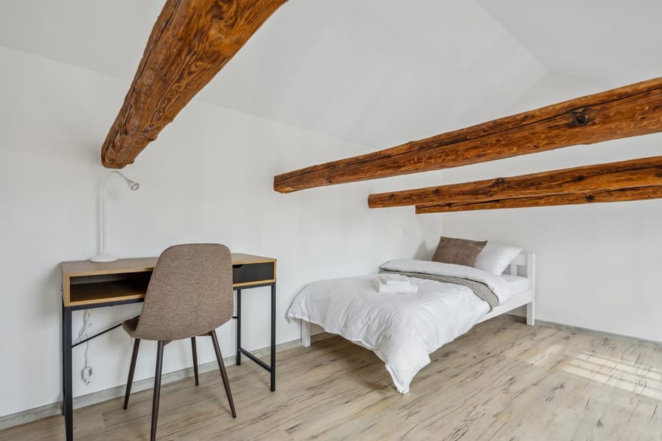 Spacious two-storey apartment with a terrace in the city center Apartment in Czechia