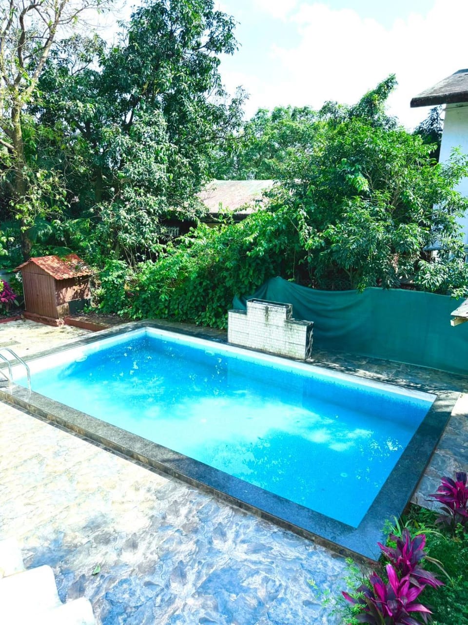 Day, Garden, Garden view, Pool view, Swimming pool, sunbed