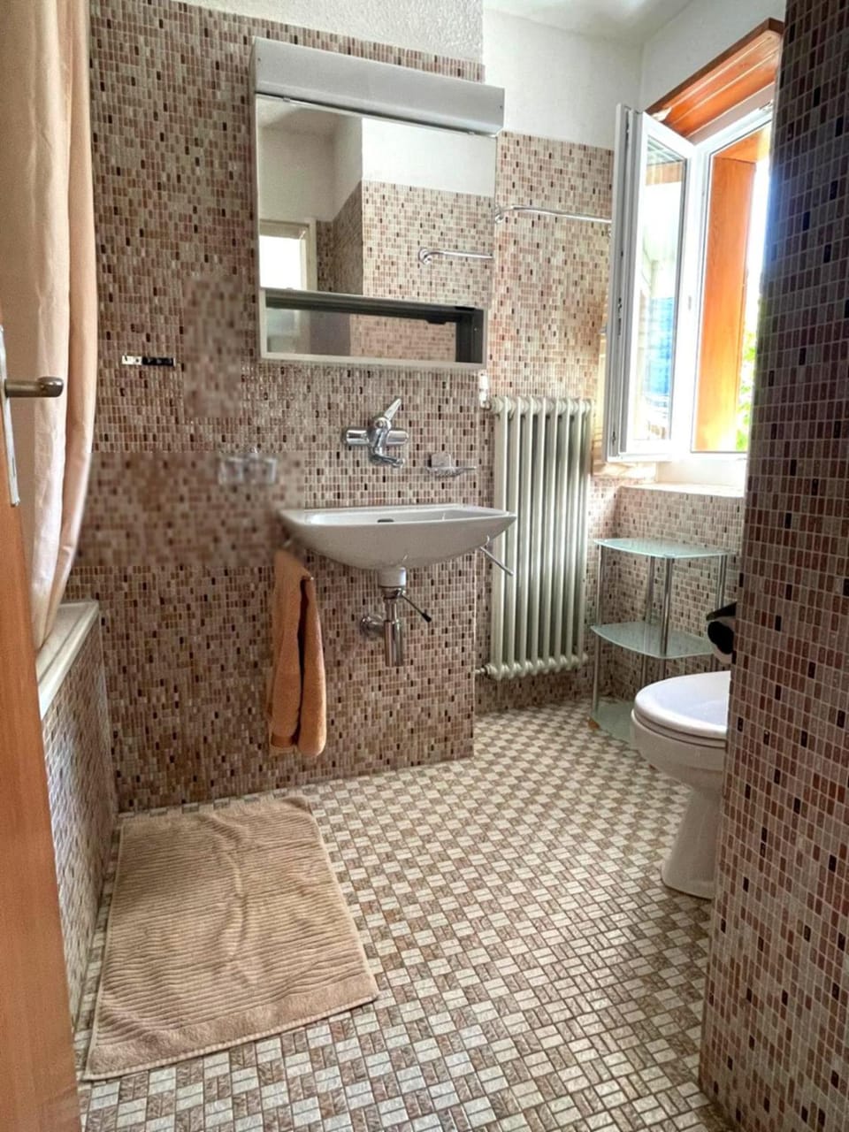 Shower, Toilet, Bathroom, Bath