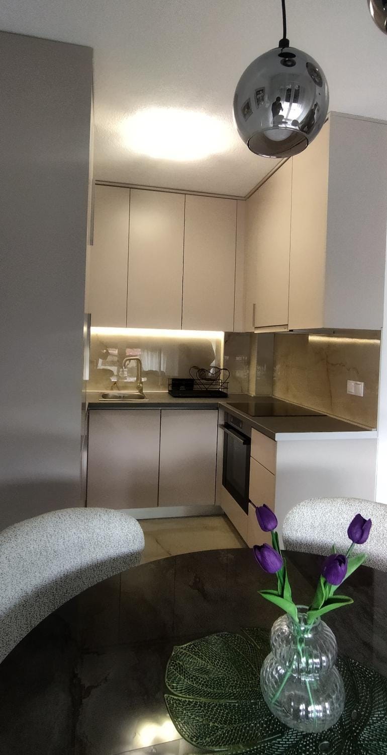 Kitchen or kitchenette, stove