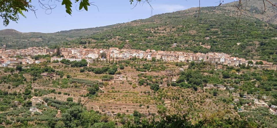 Natural landscape, City view, Mountain view