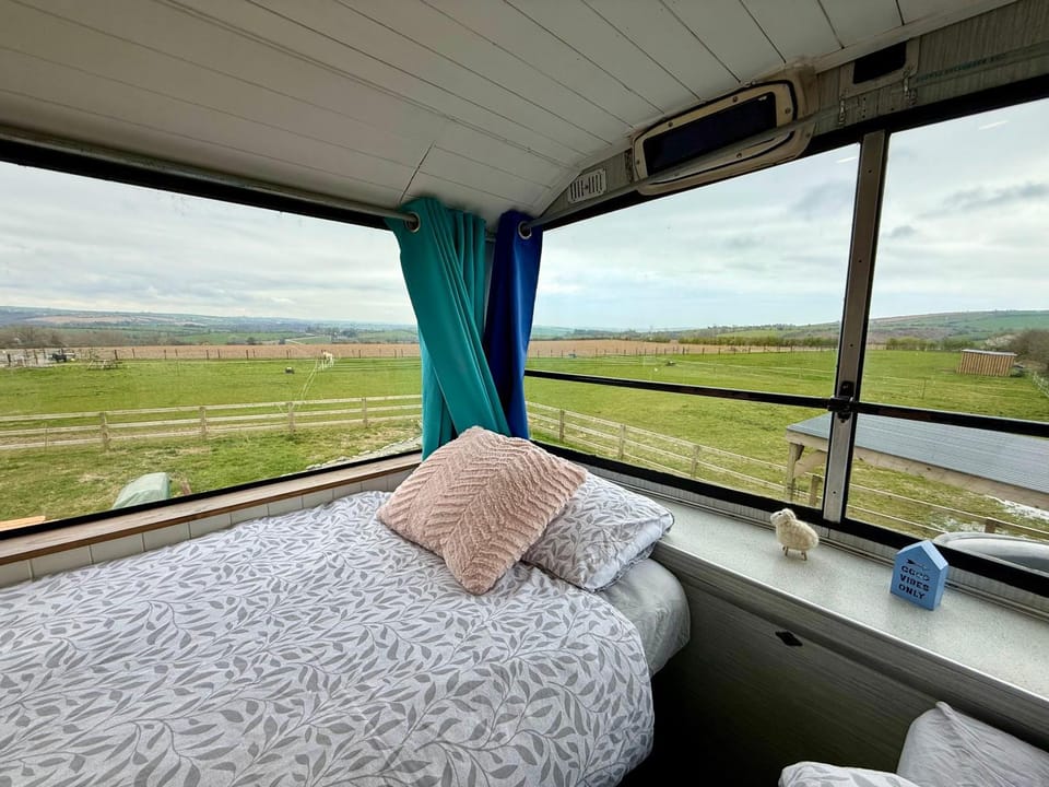 Bed, View (from property/room), Bedroom