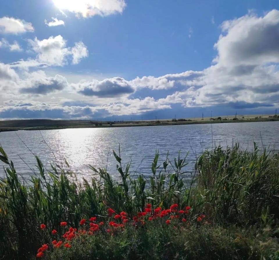 Lake view