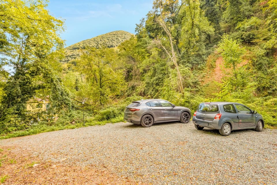 Spring, Day, Natural landscape, Parking