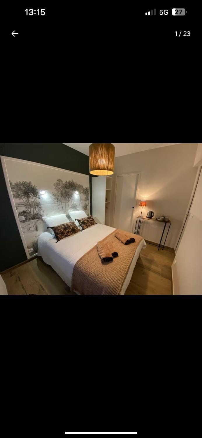 CHAMBRE COCOONING centre ville des Sables D'Olonne quartier Gare Saint Michel située à 1 kilomètre du remblai Bed and Breakfast in Olonne-sur-Mer