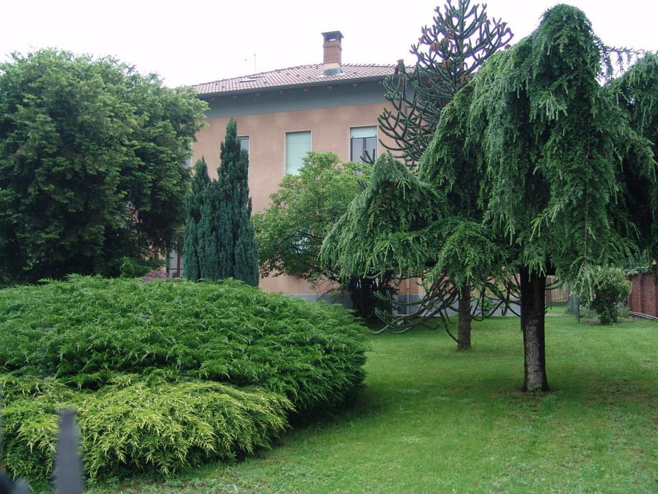 Garden, Garden view