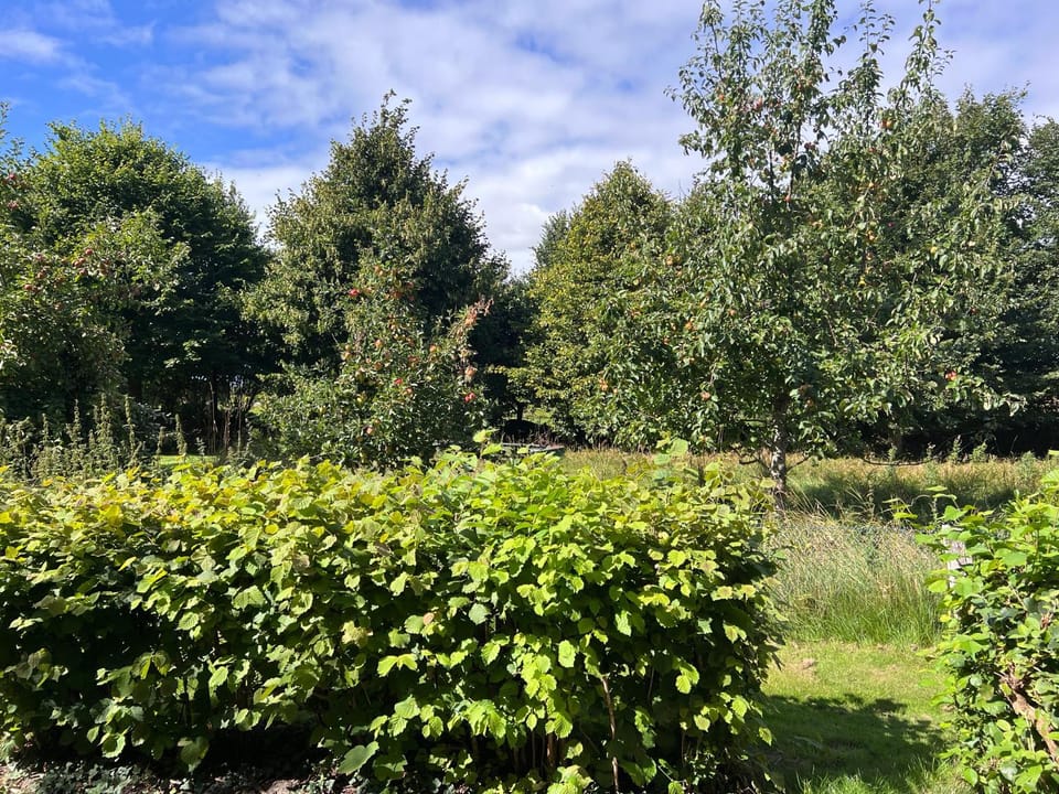 Natural landscape, Garden view