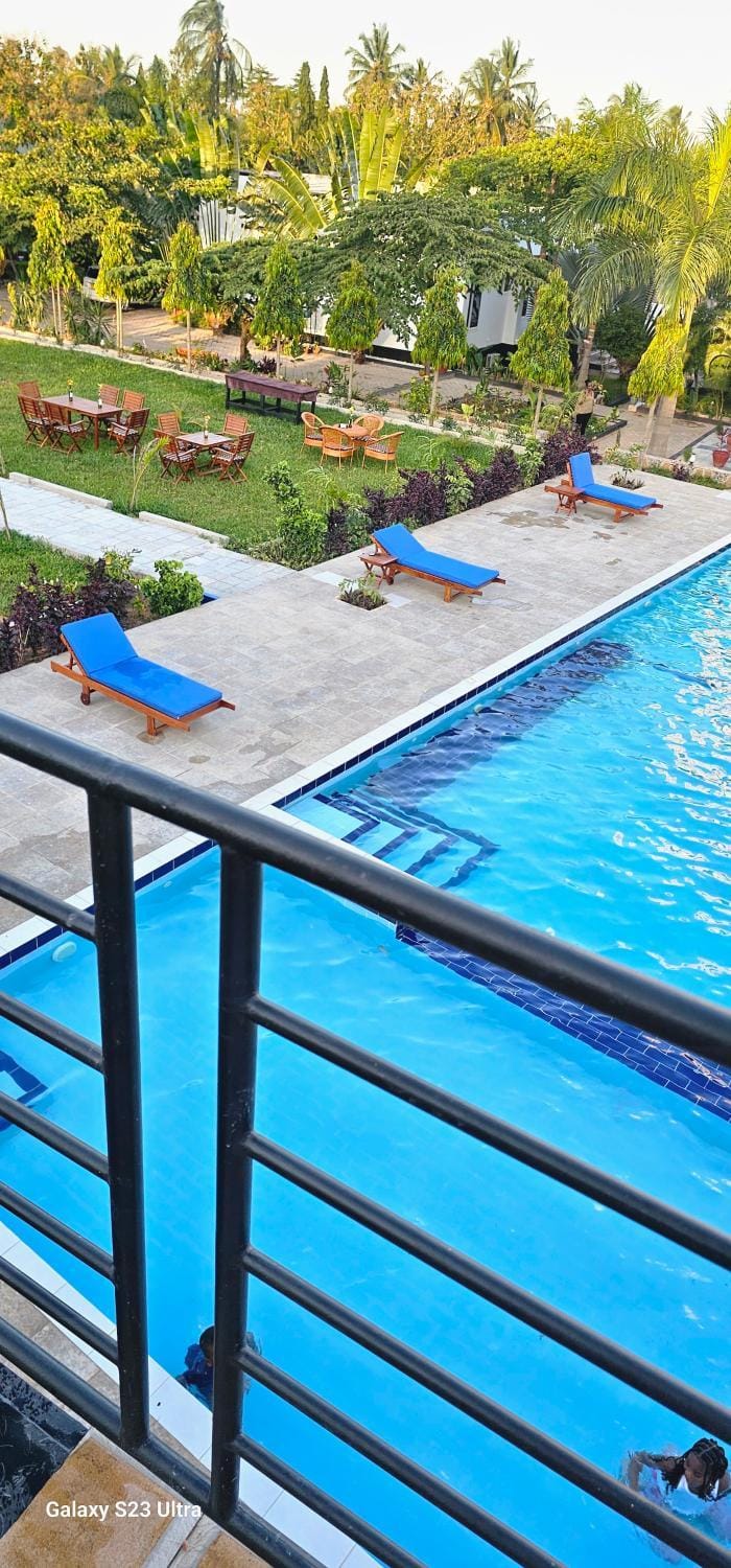 Day, Pool view, Swimming pool, sunbed