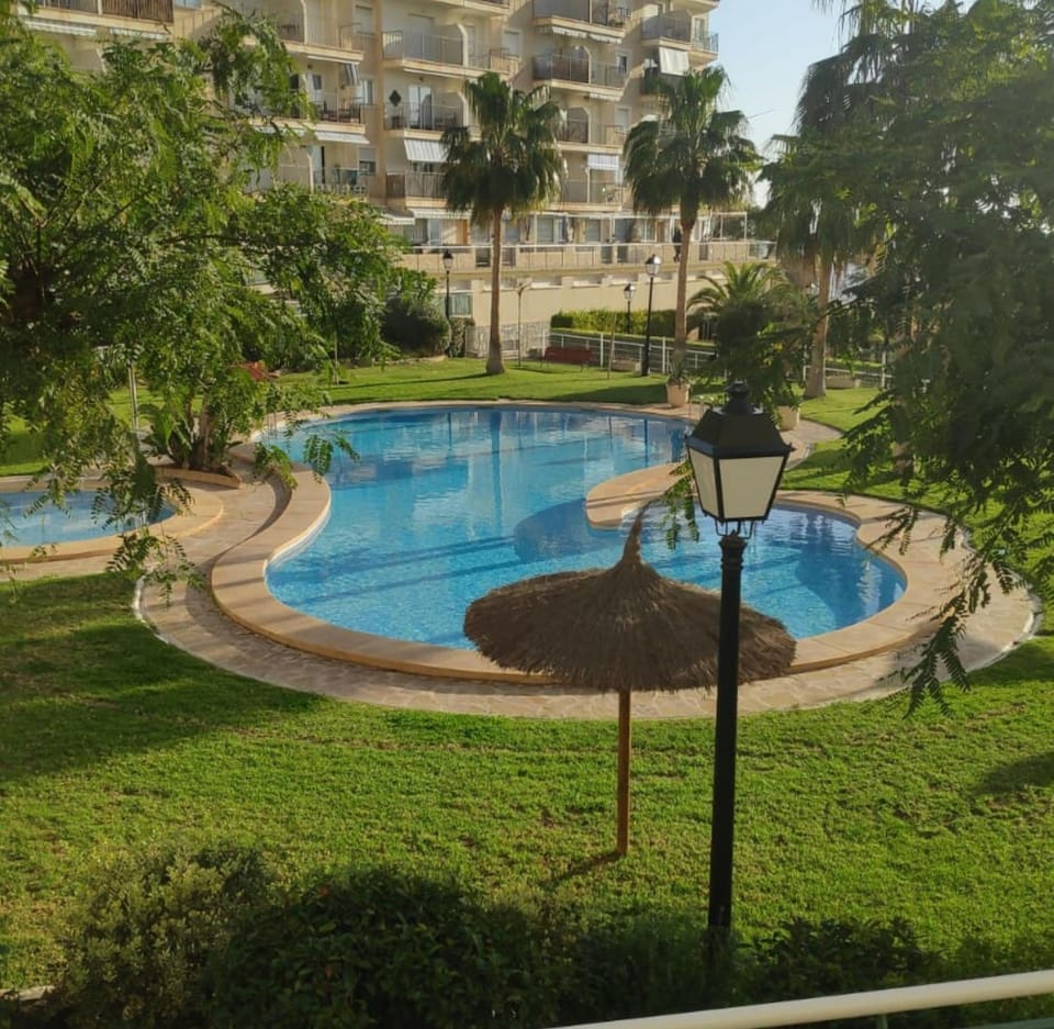 Garden, Pool view, Swimming pool