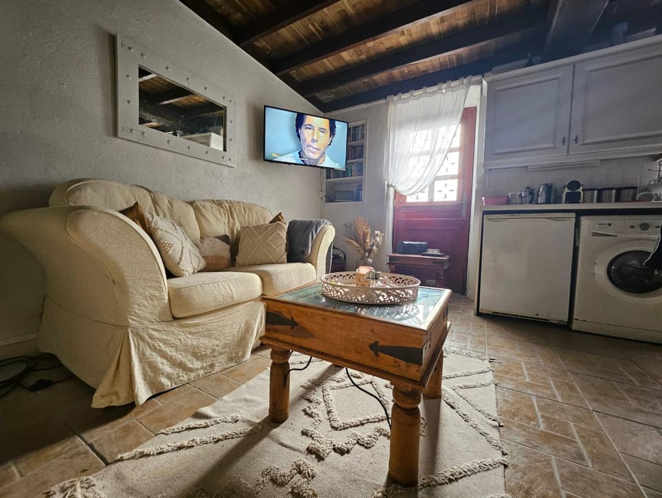 TV and multimedia, Kitchen or kitchenette, Seating area, Dining area, oven, pet friendly, stove