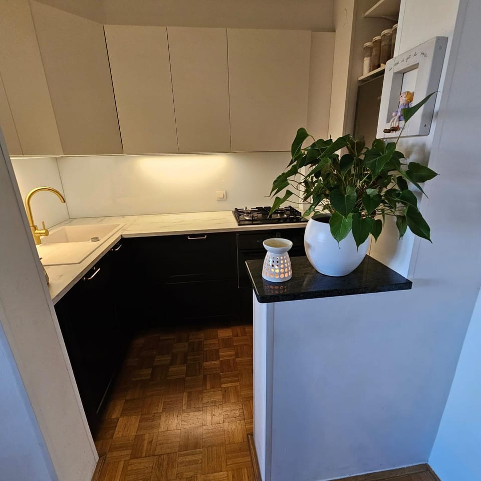 Green Deluxe Apartment with Free Parking Apartment in Ljubljana