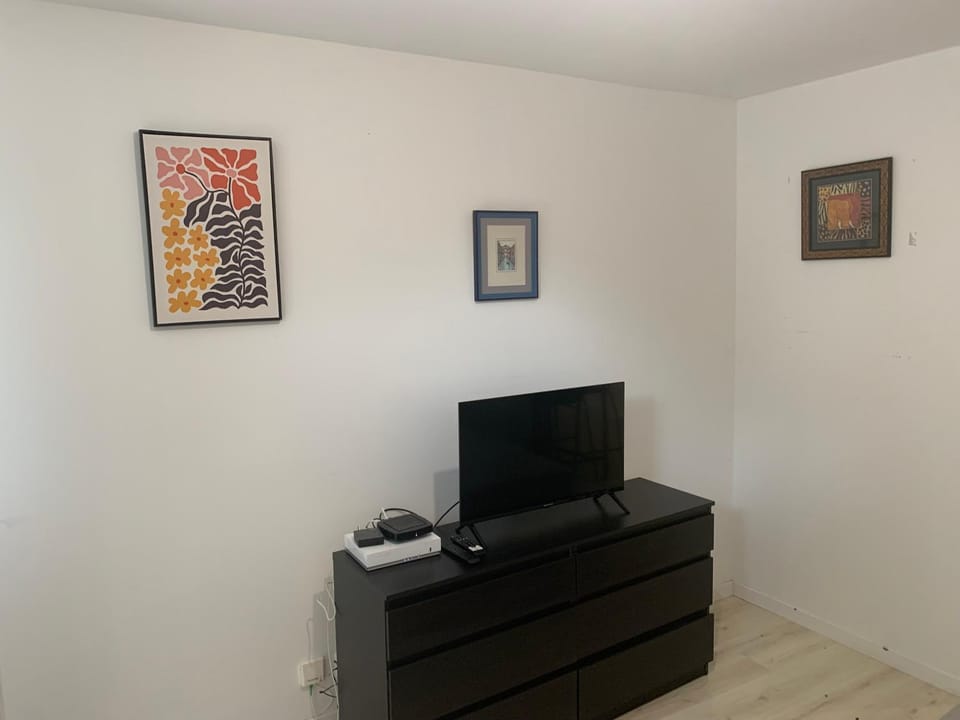 TV and multimedia