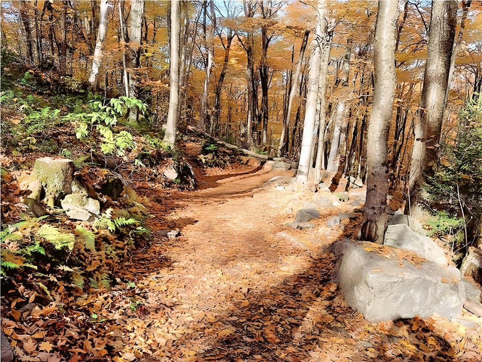 Cozy Stay with Balcony, BBQ & Trails, Near Lake Lyster House in Coaticook