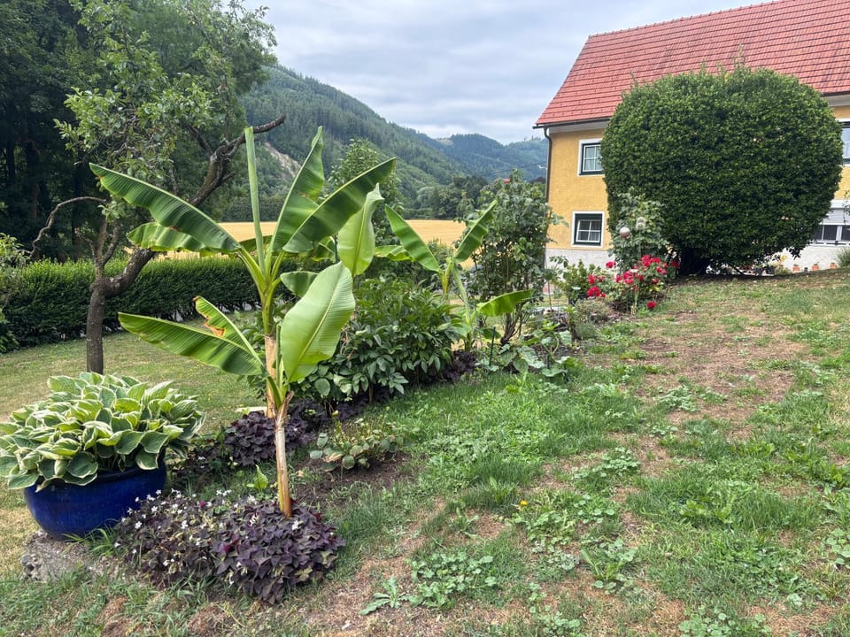 Gästehaus zum Alpenjäger Apartment in Styria