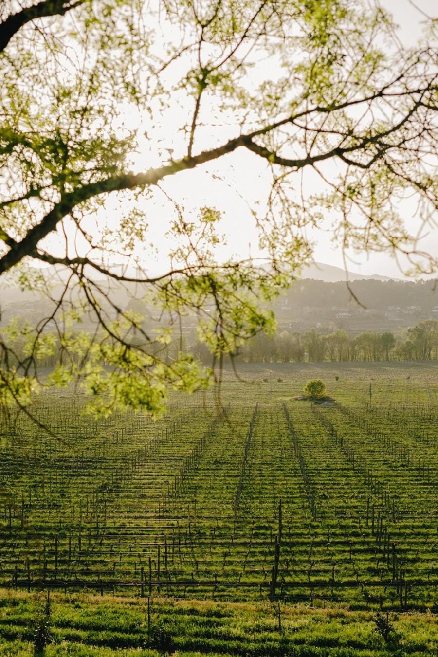 Natural landscape
