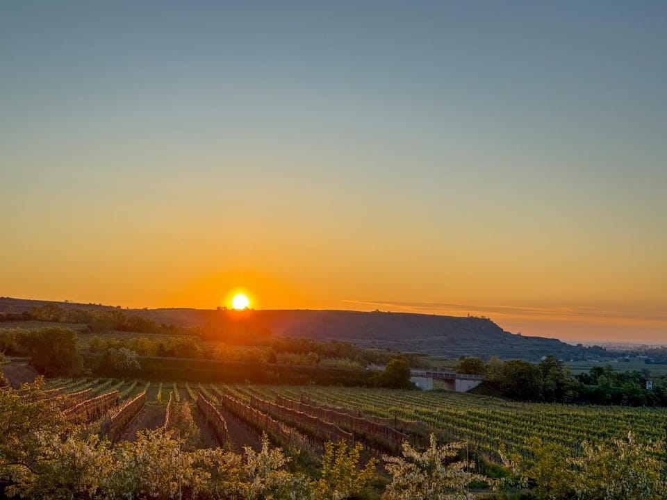 Sunrise
