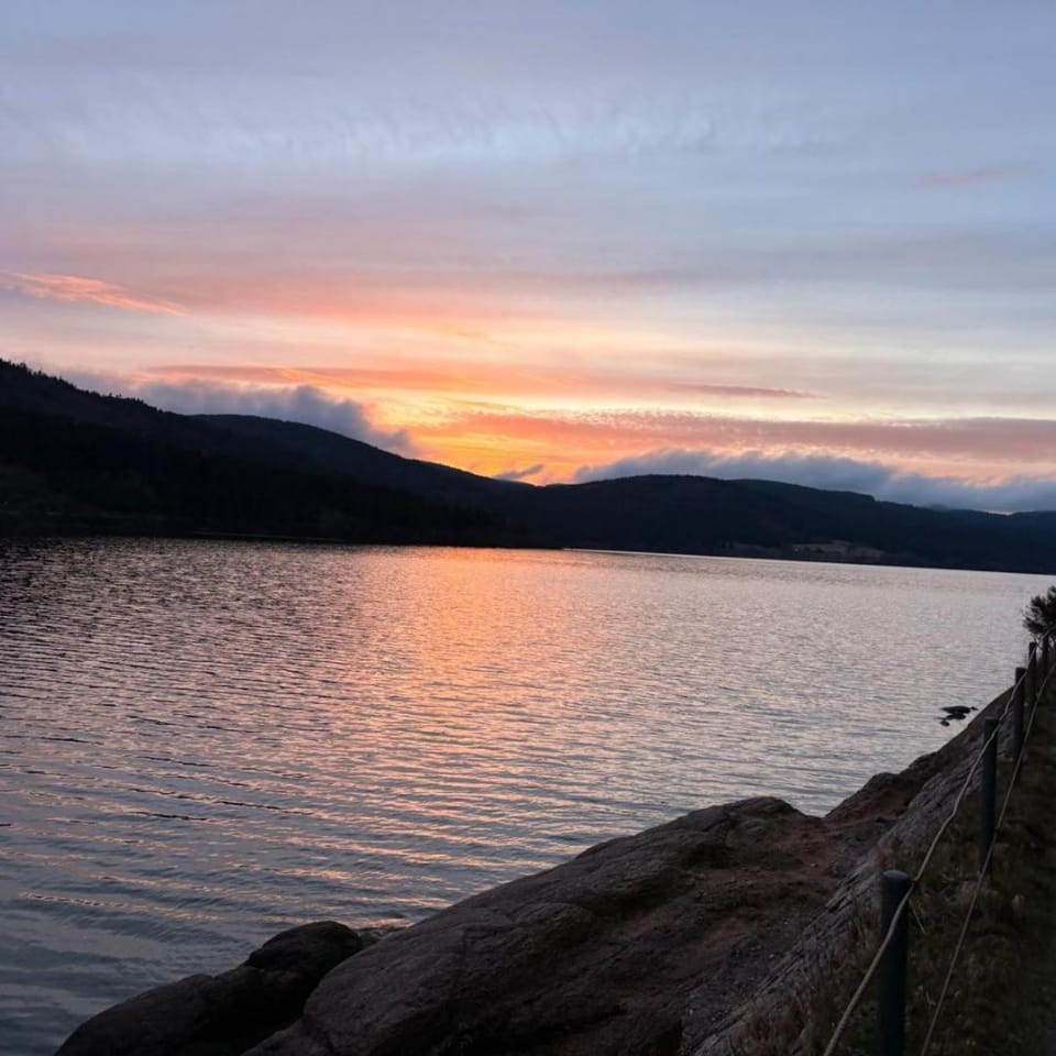 Natural landscape