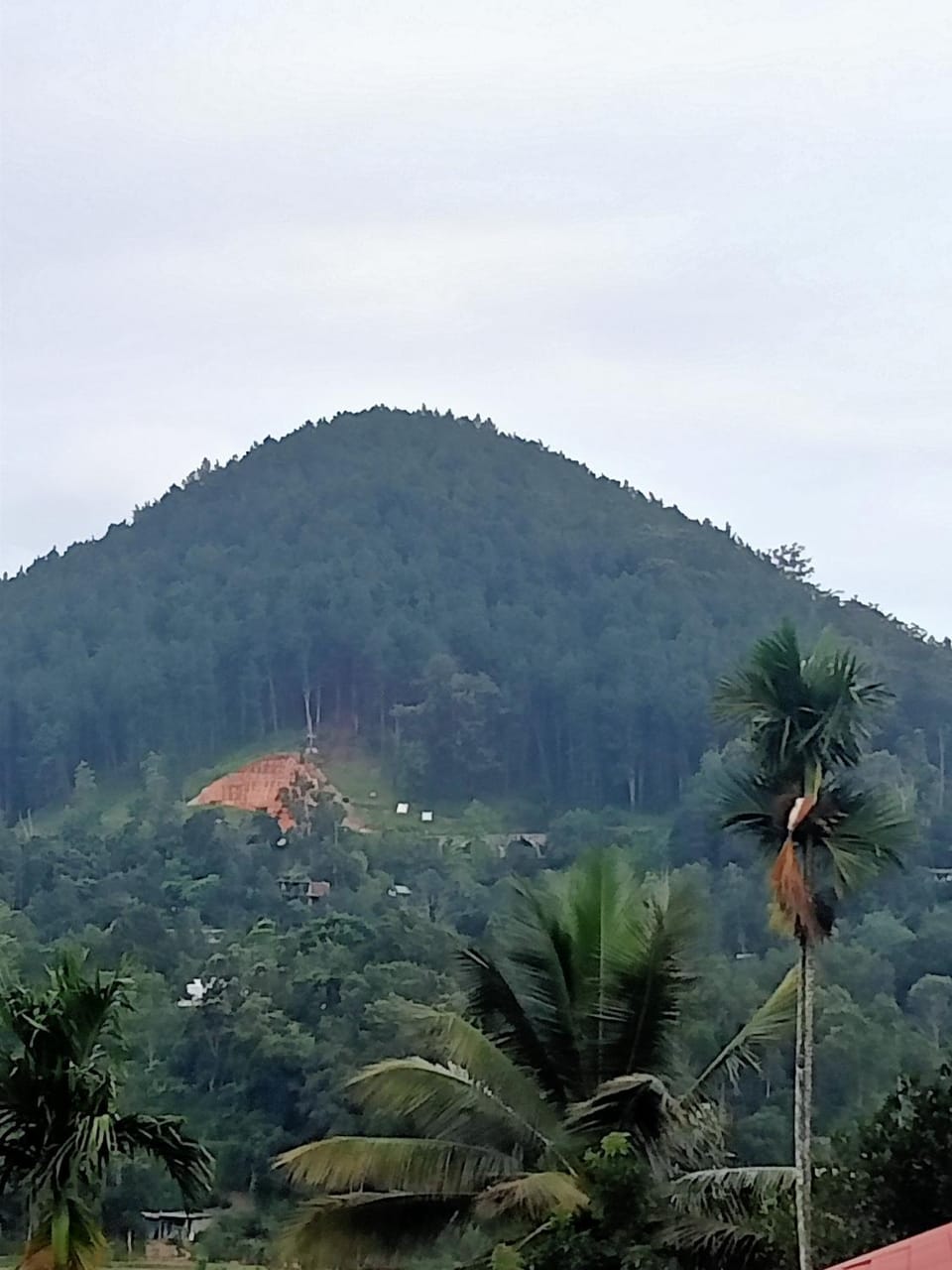 Mountain view