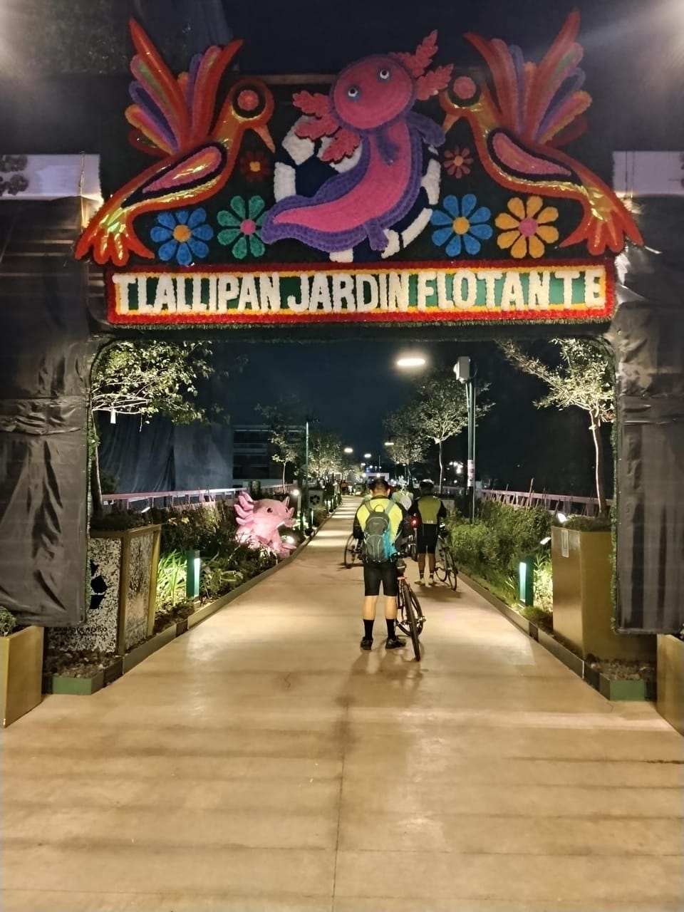 Night, Street view