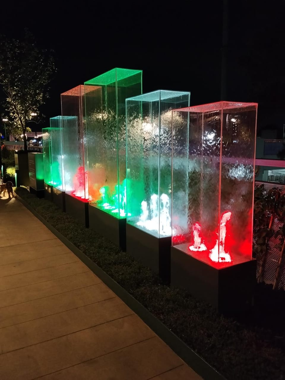 Night, Garden