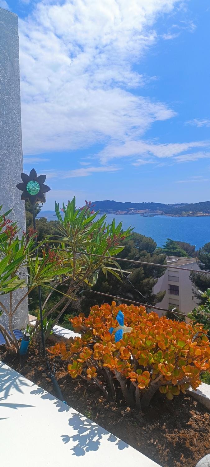 Sea view