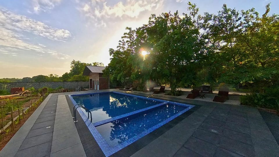 Swimming pool, Swimming pool, Sunrise