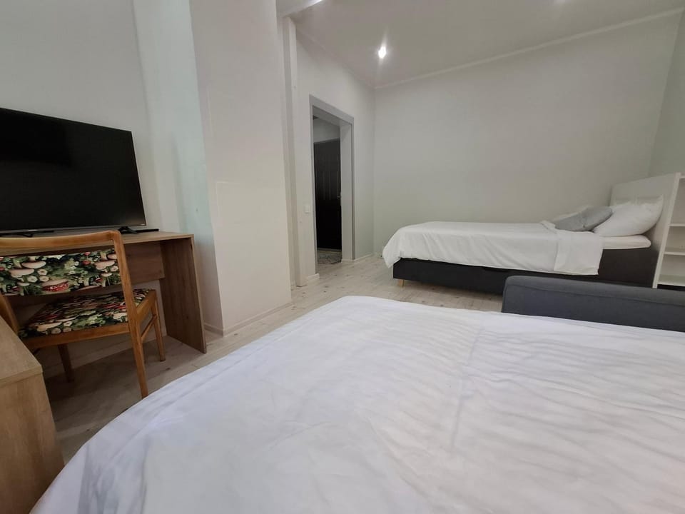 Bed, TV and multimedia, Living room, Photo of the whole room, Bedroom