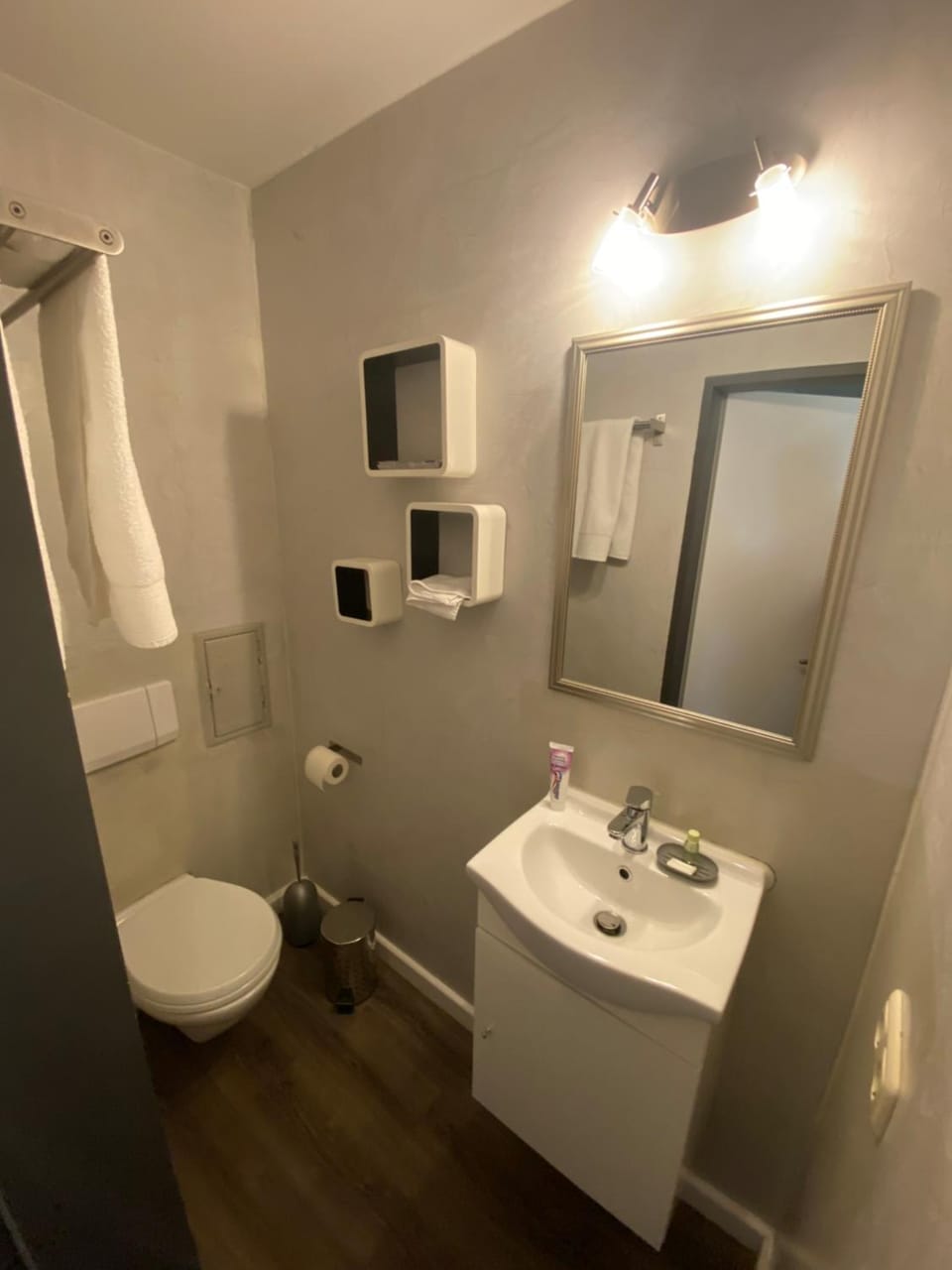 Toilet