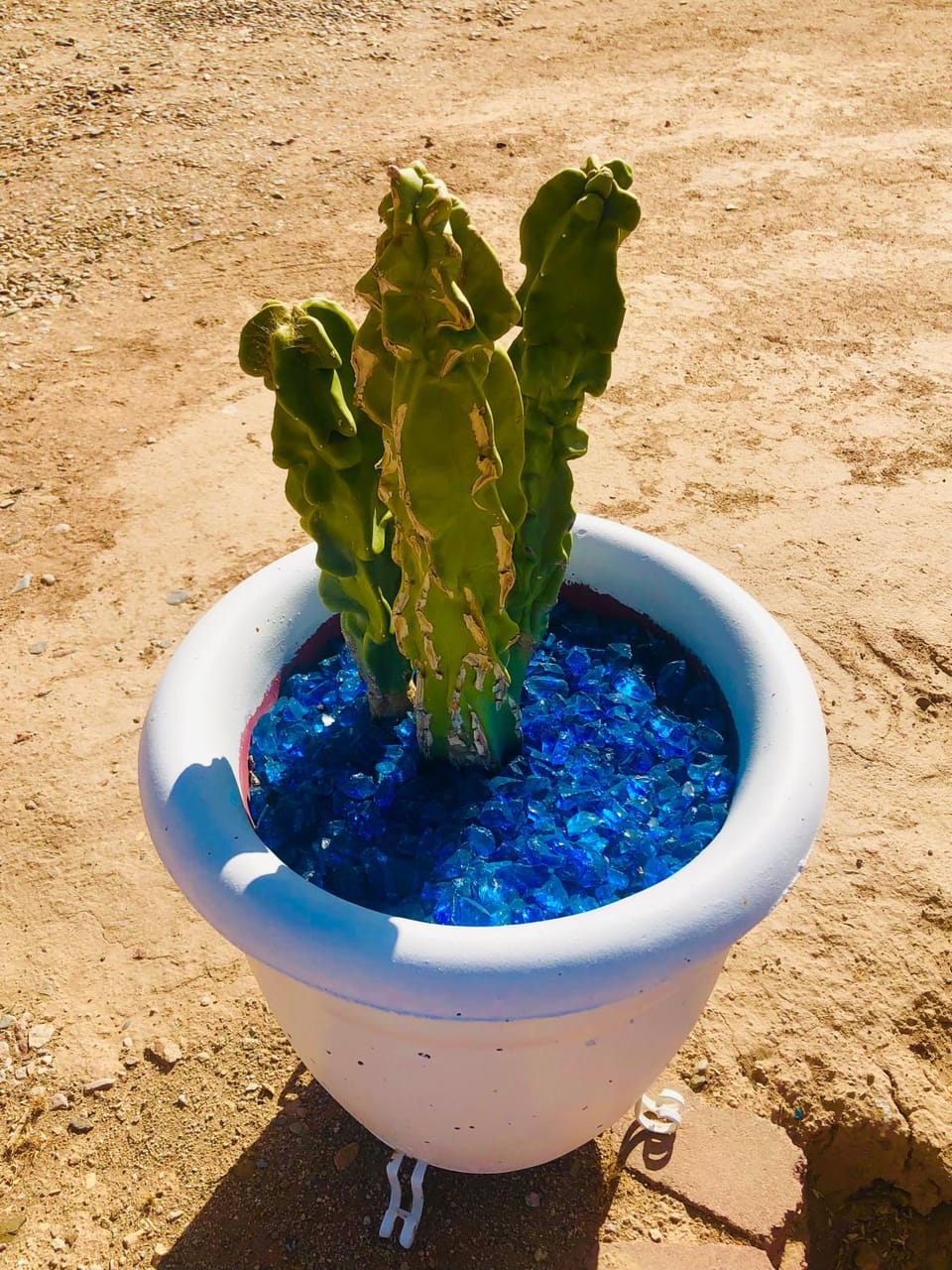Gears n Glass Vacation rental in Queen Creek