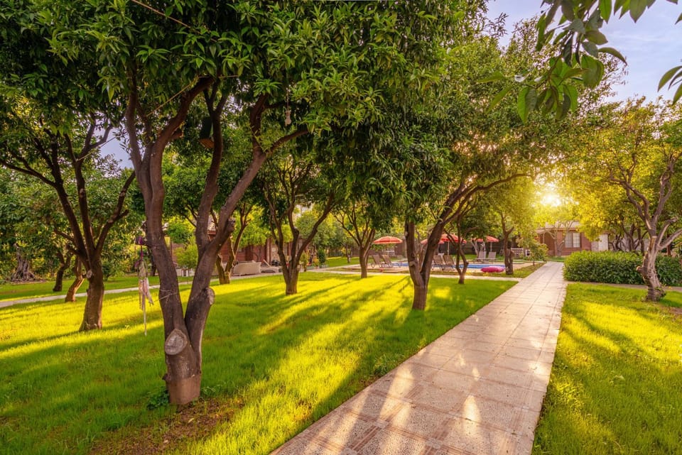 Spring, Day, Natural landscape, Garden, Garden view