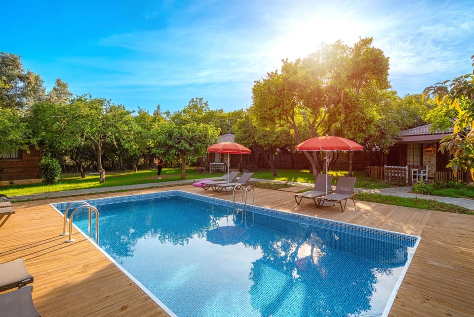 Spring, Day, Natural landscape, Garden, Garden view, Pool view, Swimming pool, sunbed
