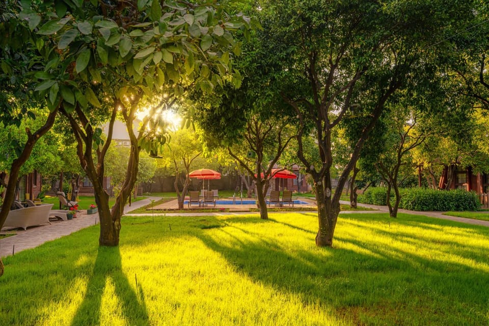 Spring, Day, Natural landscape, Garden, Garden view