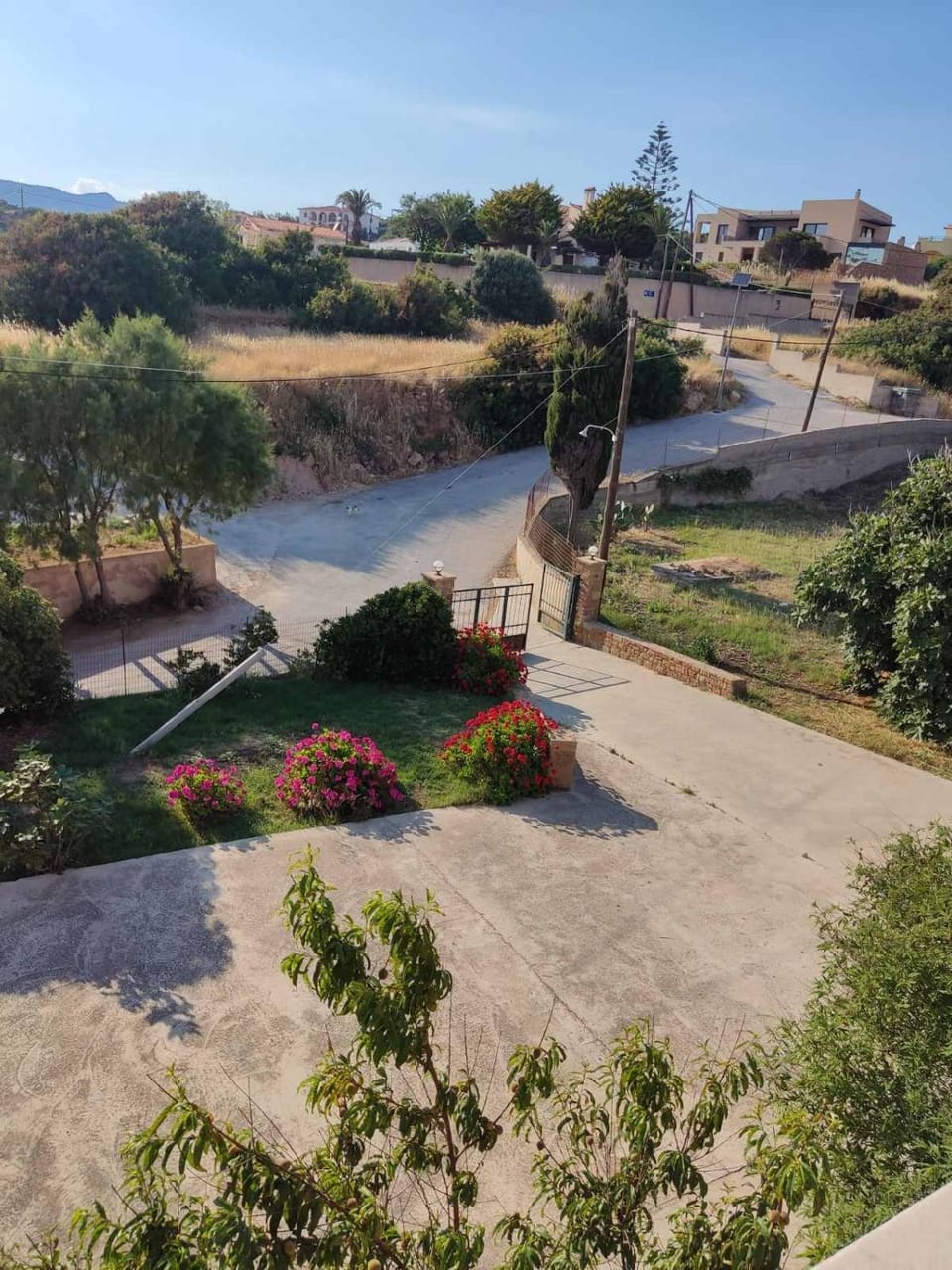 Garden view