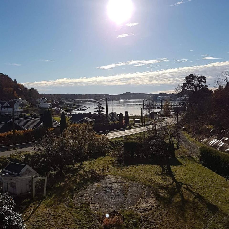 Day, Natural landscape, Garden, Sea view