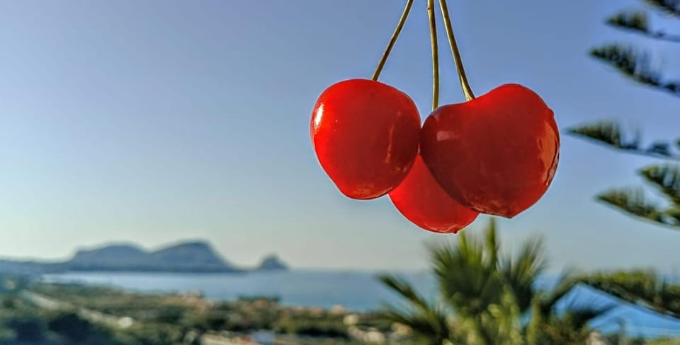 Sea View Holiday Apartment in Sicily