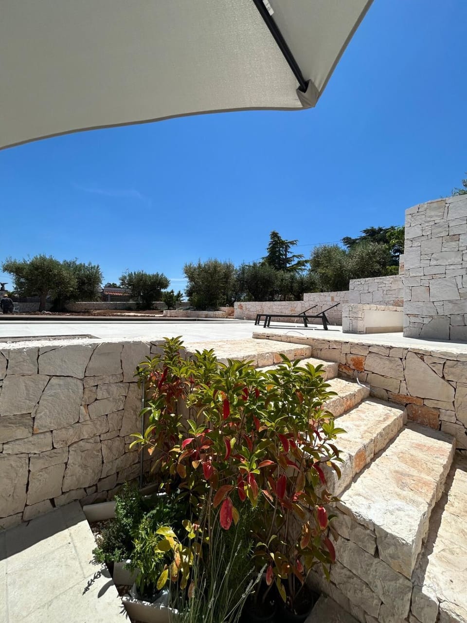 Garden, Solarium, Garden view, Swimming pool, sunbed