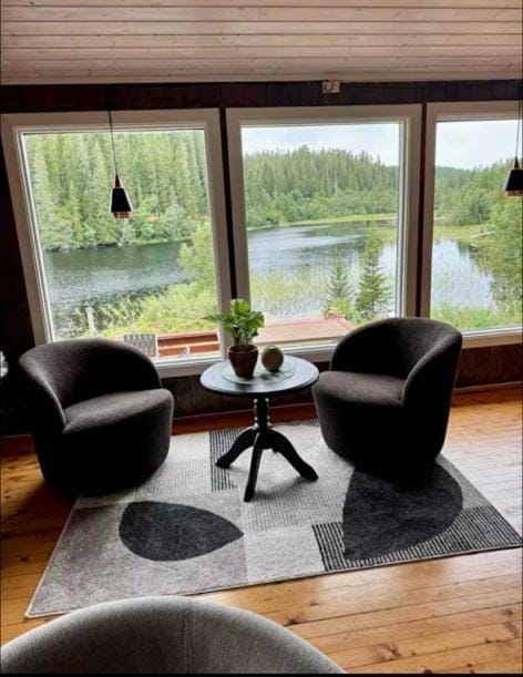 Cozy lakeside cabin Cabin in Trondelag