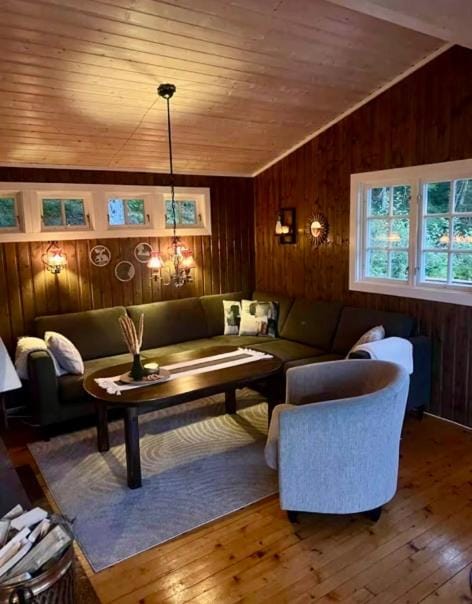 Cozy lakeside cabin Cabin in Trondelag