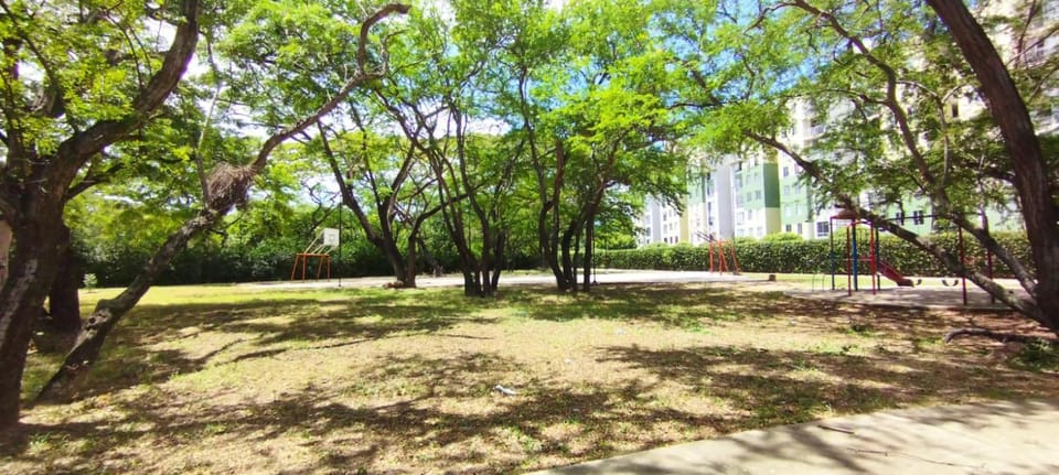 Garden, Street view